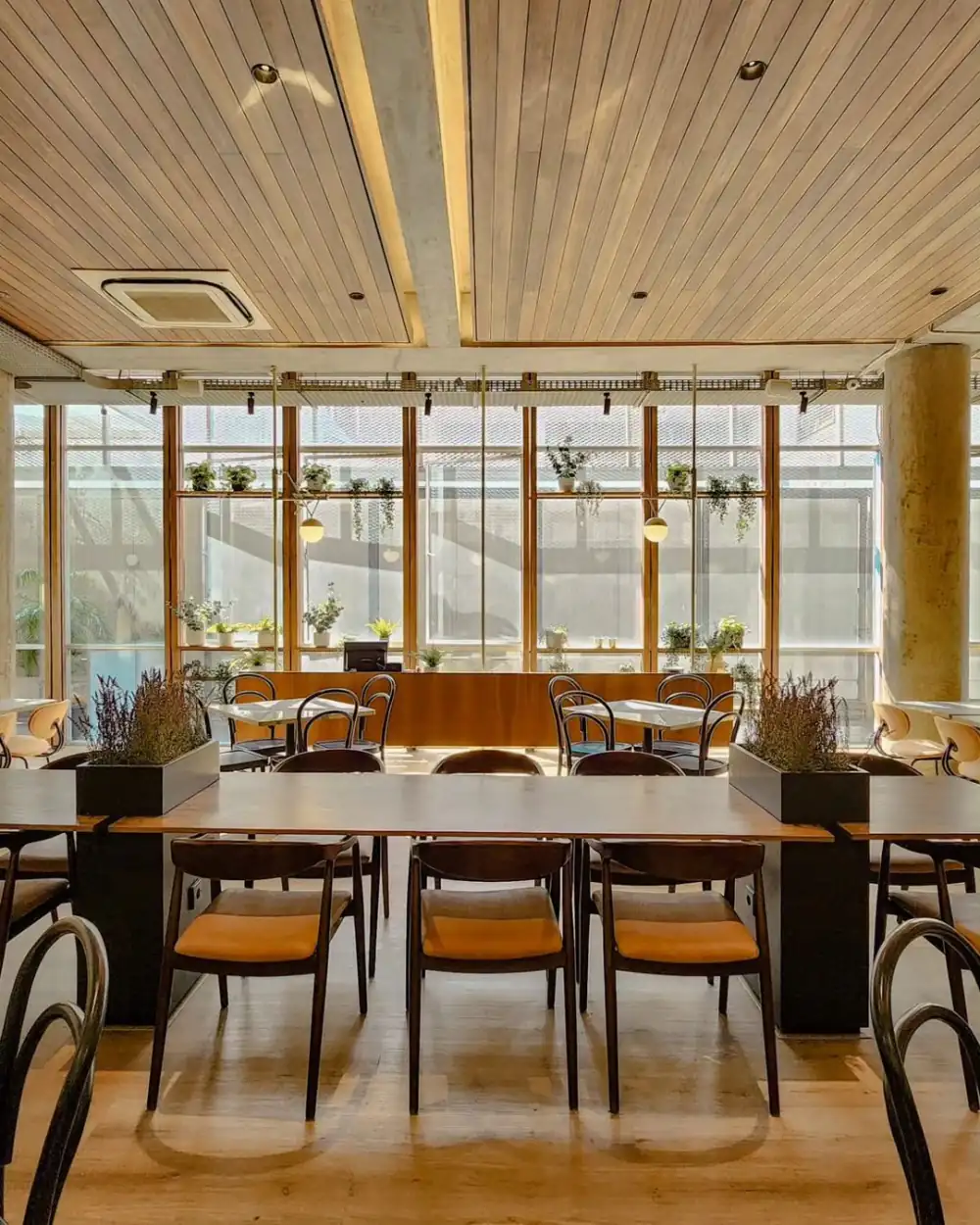 Restaurant ambiance
